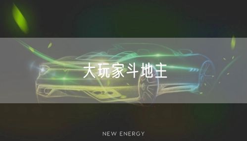 大玩家斗地主